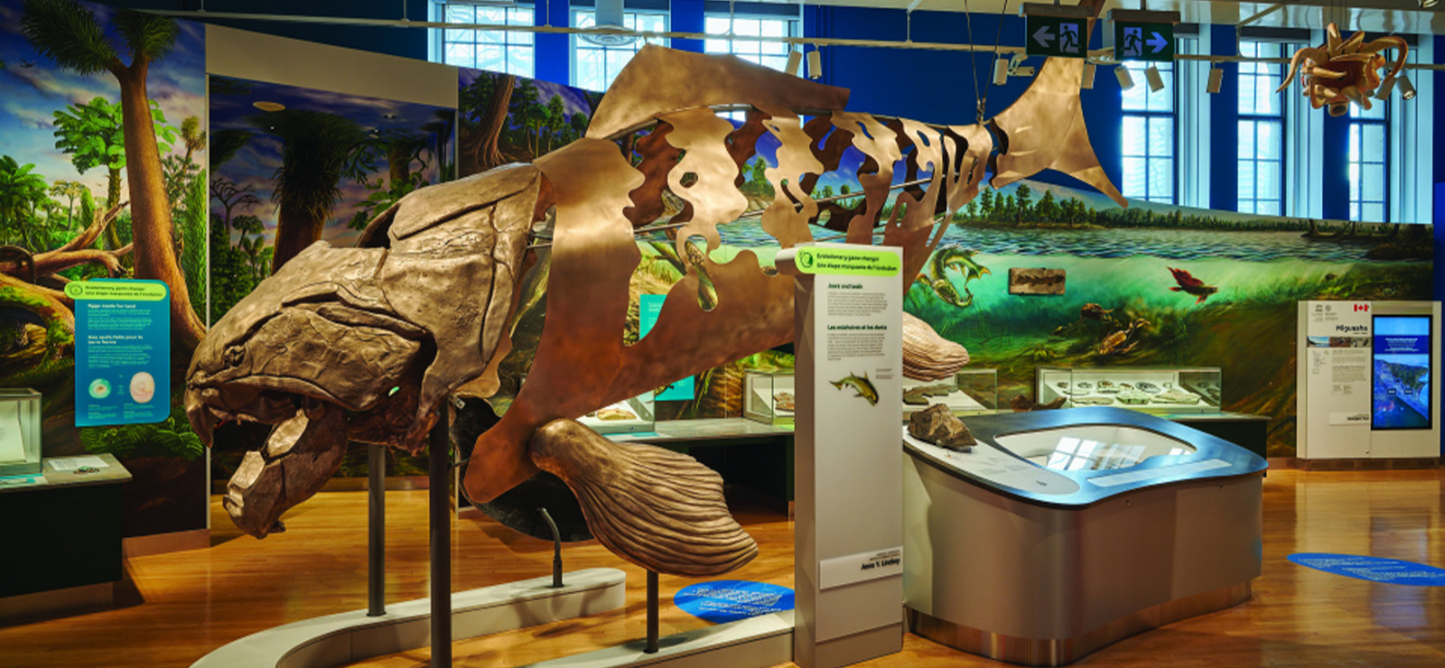 Nova exposição no Royal Ontario Museum